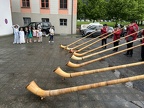 IMG 6161