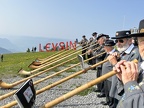 IMG 6246